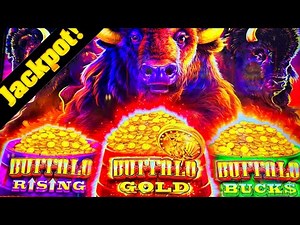 NEW!! Buffalo & Timberwolf Triple Power Slot Machines! JACKPOT HAND PAY!