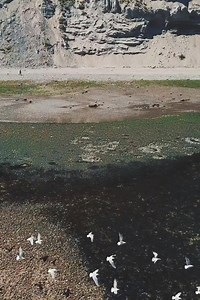 5.9K views · 141 reactions | Here's a fun place to enjoy the sun and...