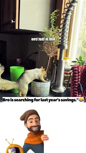 Furry Fail Factorie🐕2026| Funny fails| #shorts