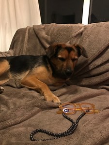 Dark Purple Pearl String for Glasses. - Etsy