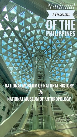 Back to back tour of National Museum of the Philippines’ National Museum of Natural History and National Museum of Anthropology. #nationalmuseumofthephilippines #nationalmuseumofnaturalhistory #nationalmuseumofanthropology #manila #philippines #itsmorefuninthephilippines #educational #history #culture #heritage Don’t forget to subscribe to TheTraveLad YouTube Channel! | TheTraveLad
