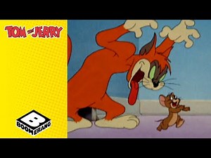 New Cat In Town | Tom and Jerry | ‪@BoomerangUK‬