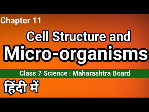 7 Science Hindi • Cell Structure and Microorganisms
