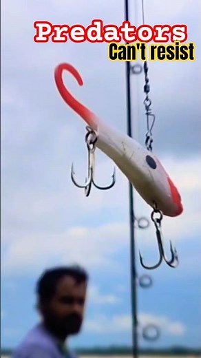 This Croaking Lure Sounds Like Real Fish in Pain! River Predators Can’t Resist 🐟💀🎣