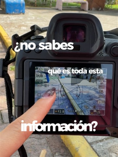 Tu cámara: cuadrícula, nivel y relación de aspecto