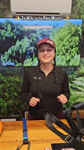 ✨ Te Wiki o te Reo Māori ✨ Come learn a new kupu (word) with Mikayla — this time it’s all about the gear we use on our zipline tours! 👷‍♀️🌿 #TeWikiOTeReoMāori #MāoriLanguageWeek #RotoruaCanopyTours #NewZealand | Rotorua Canopy Tours