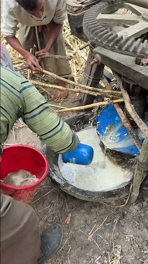 Sugarcane Juice For Making Molasses