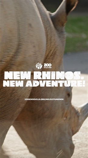 2.9K views · 108 reactions | Zoo Knoxville on Reels | Facebook
