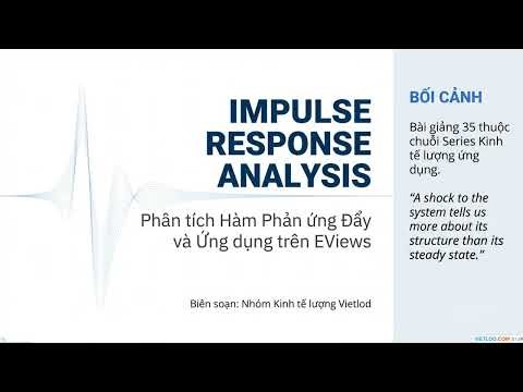 Diễn giải Kết quả Phân tích Hàm Phản Ứng (IRF) trong Mô hình VAR/VECM #timeseries #econometrics