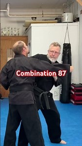 Shaolin Kempo combination 87!