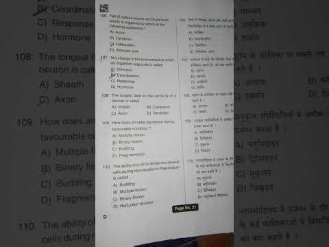 GNM QUESTION PAPER WITH ANSWER 2025