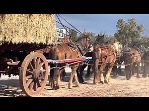 @Barellan Good Old Days Festival