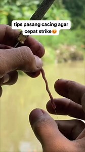 1.8M views · 6.9K reactions | Tips pasang cacing biar tidak mudah lepas & cepat strike #tips #tutorial #umpan #mancing #mancingmania | Eko Fishing | Facebook