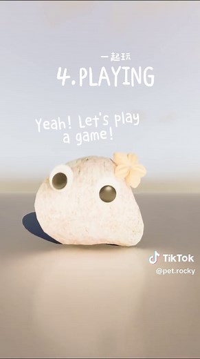 5 Steps to Raise a Pet Rock: The Cute Animation Guide