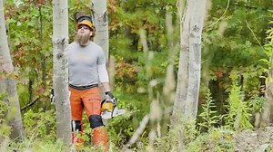 235 reactions · 41 shares | Built to work. Built to last. Get real power with STIHL tools. | STIHL | Facebook