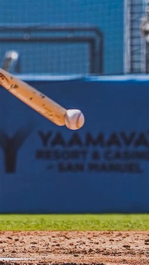 Selfology. on Instagram: "Discover your best Self. Study the Self today. #selfology"