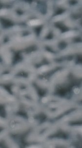 Free Background Videos: 4K & HD | No Watermark | Download Now