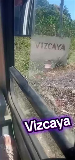 Explore Vizcaya: A Cultural Gem in Miami