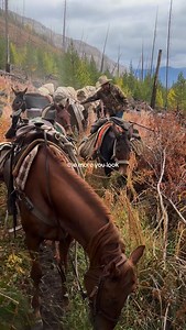 It’s all around you when you let it be ⛰️ #montana #outfitters #montanaoutfitters #horses #camping #hunting #fishing | Cheff Ranch and Legacy Outfitters