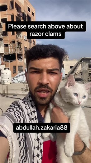 Razor Clams: Gourmet Seafood Delicacy