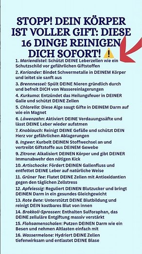 Gift-Killer: 16 Lebensmittel, die deinen Körper SOFORT entgiften! 🌿