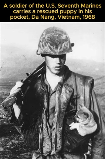 A Warzone… and a Pocket of Kindness #history #humanity #emotional