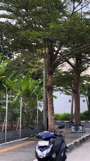 Yowww wellcome back #beatfimodifikasi #maticproper #beatfimodifikasi_id #thailandstyle #savepuremothai