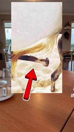 #creatorsearchinsights animals video animals tiktok animals mating horse mating donkey mating #Royaume-Uni #États-Unis #France #Allemagne #Brésil