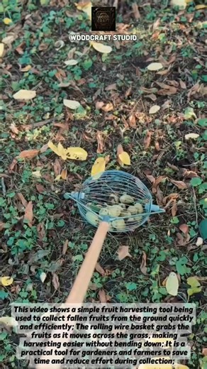 Fruit Picker Roller Tool! Fast Harvest Hack #shorts #gardening #farmtools