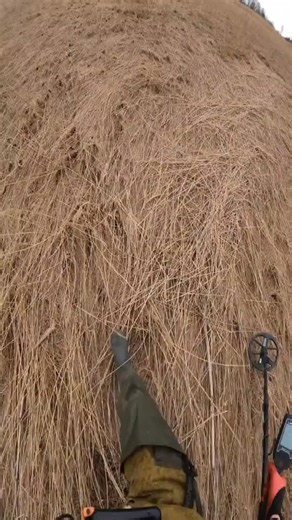 Powerful copper find | X Findss