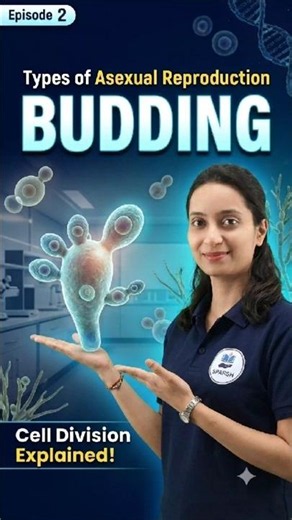 Budding Made Super Easy! | Asexual Reproduction Ep. 2