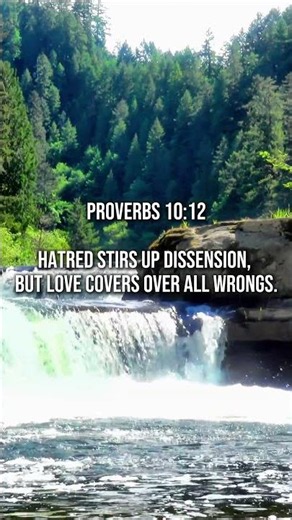 Love covers over all wrongs 🤍 #shorts #proverbs1012 #bibleverse #peace
