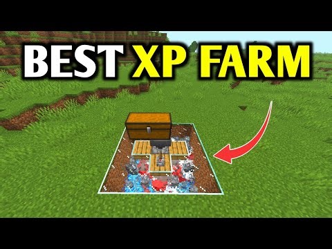 BEST Armadillo XP Farm in Minecraft 1.21 – Insane Levels FAST!