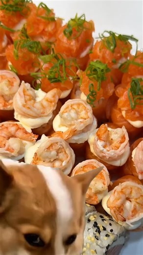 Manda pro amigo que só enche o saco mas não chama pra comer sushi | Sugoi Sushi Box