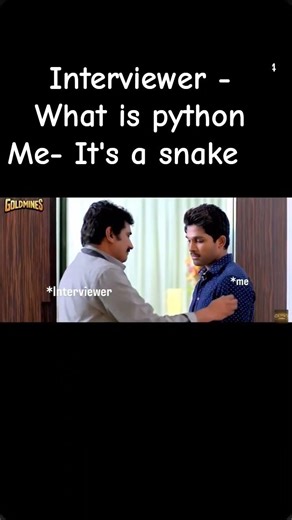 What is python 🧑‍💻🐍