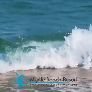 🌊 Soaking in the stunning shades of blue and green at #MyrtleBeachResort right now!🌞 🏖️ Have you seen how beautiful our warm coastal waters are lately? If not what are you waiting for?😍 #BeachEscape | Myrtle Beach Resort