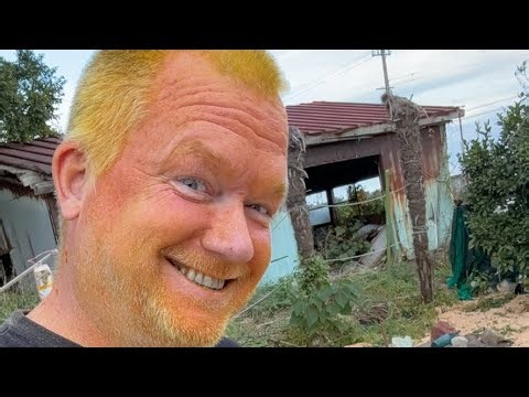 Marigold hair dye full of lutein and zeaxanthin, plus aromatic oils (mainly limonene and ocimene)