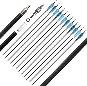 AMEYXGS 12 Pack 30 Inch Archery Aluminum Arrows Spine 300 Hunting Arrows Target Practice Arrow with Field Point for Recurve Bow or Compound Bows