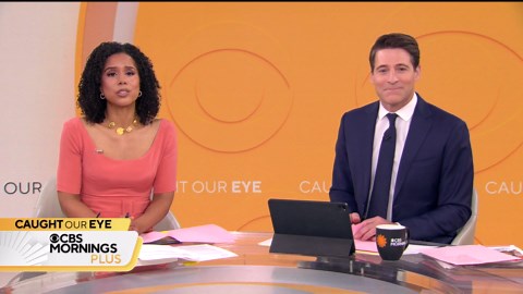 Aerial footage reveals extensive damage as Los Angeles area wildfires rage on