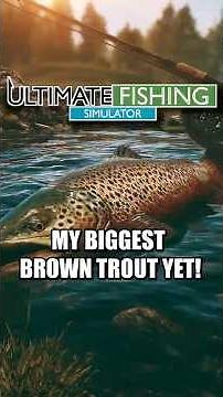 My Personal Best Brown Trout On A Fly Rod! #fishing #flyfishing #videogames #shorts #ultimatefishing