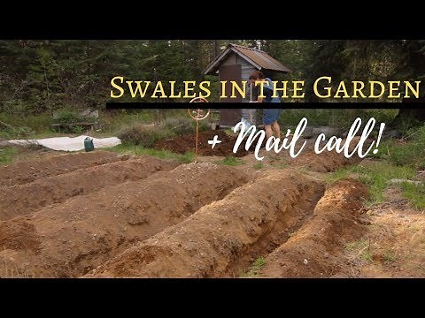 Mini SWALES and Permaculture | Back To Eden | Simple Living