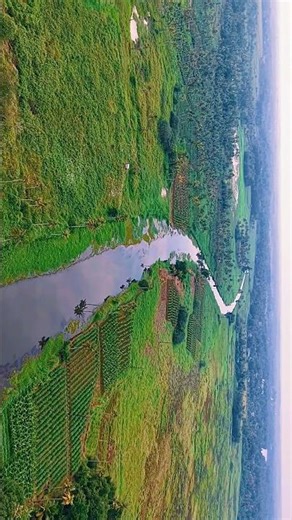 Kerala – God’s Own Country 🌴✨ | Tulasi 🦚| Kerala Nature & Culture #shorts