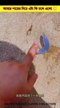 আমার পায়ের নিচে এটা কি চলে এলো 😳#shorts