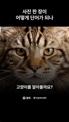 사진 한 장이 어떻게 단어가 되나 — 컴퓨터 비전이란 #ai #ai교육 #it지식