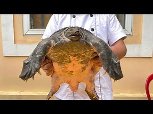 world's best freshwater turtle meat recipe // gun chef