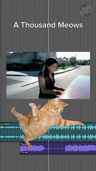 A Thousand Meows 🐈 ‪@vanessacarlton‬