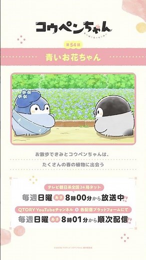 【公式】TVアニメ『コウペンちゃん』 「青いお花ちゃん」