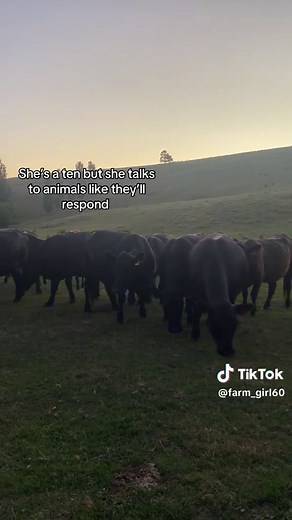 Talking to Animals: A Farm Girl's Unique Bond