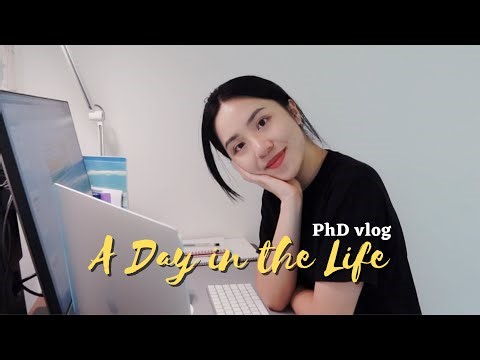PhD vlog | study with me at home | 博士生居家办公学习的一天 | 桌面分享