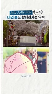 [5 Centimeters Per Second] Original vs. Live-Action! Let's stay together again next spring🌸